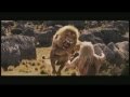 Narnia Latina- Momentos Memorables "El León Ruge"