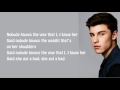 Shawn Mendes - Bad Reputation (lyrics)