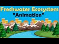 FRESHWATER ECOSYSTEM | Biology Animation