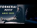 |PETIT| Tornerai (Testo/Lyrics) [Amici 2023]