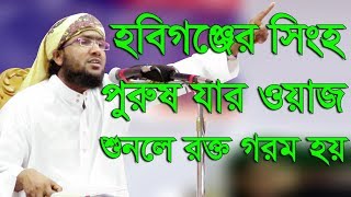 Bangla Waz 2017 হবিগঞ্জের সিংহ পুরুষ যার ওয়াজ শুনলে রক্ত গরম হয় Maulana Shoaib Ahmed Ashrafi