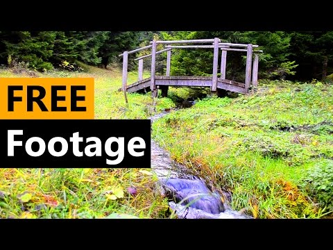 mp4 3gp xxx nature mobile footage avs
