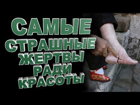 Рабочая программа (4 класс) по теме: Т. Д. Шапошникова К. В Прорезывание зуба и лейкоциты / Форум - U-mama