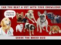 The ultimate dog breed challenge: Which breed is best? - Test Your Knowledge of Rare Dog Breeds 2024