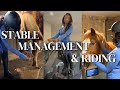 Mechanical Horse Riding & Stable Management; Beginner Equestrian Diaries - Episode 1