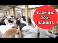 Unveiling the Rabbit Haven: Farm Tour Adventure - Part 1