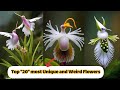 most unique flowers in the world | weird flowers in the world | flowers name in english