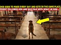 Dog Goes to Mass Every Day and Refuses to Leave, Priest Decides to Follow and Find Out the Reason...
