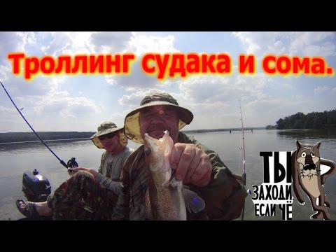 троллинг в белоруссии видео троллинг в белоруссии видео