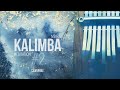 Beautiful Kalimba/Mbira & Rainstick Meditation #2 | Calm Whale [3 hours]