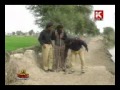 Maman Lalo And Khoni Manhoon Police And Haram Paye Sindhi Vere Funny Comedy