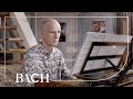 Bach - Concerto in D minor Marcello BWV 974 - Ayrton | Netherlands Bach Society