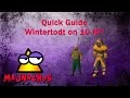 Wintertodt on 10hp - Guide OSRS