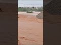 Floods Victims perfect Rescue during rainy season  in Djibouti-pt1