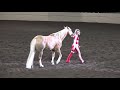 Liberty with California - Sarah Thompson - Night of the Horse 2019 - Del Mar National Horse Show