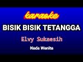 BISIK BISIK TETANGGA-Elvy Sukaesih Karaoke