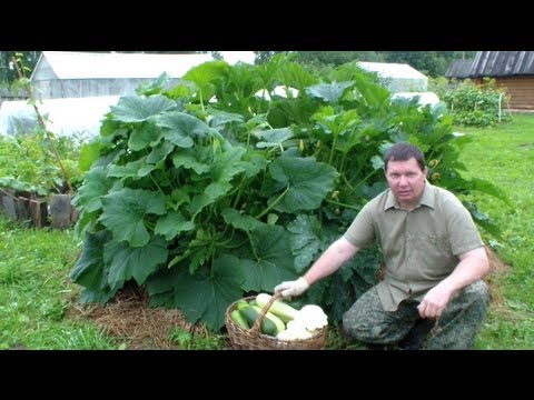 Мануальная терапия позвоночника (массаж) в Санкт-Петербурге Ламели из пластика и алюминия - Авторский салон Anna Алматы