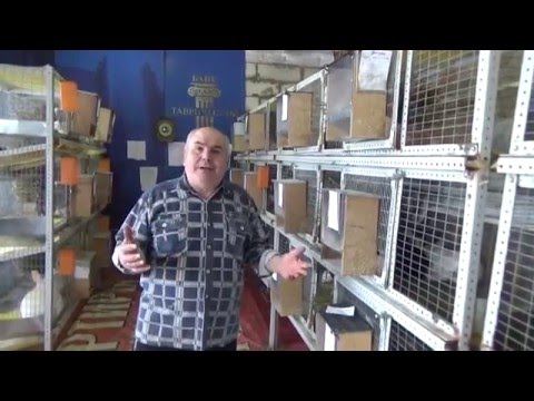Клетки для кроликов солнечный кролик Клетки для кроликов солнечный кролик