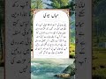 Husband wife quotes | Urdu quotes | #viral #shorts