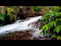 Healing River Sounds ASMR: Find Your Zen and Banish Insomnia | LuLu Sounds