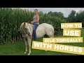How to use Essential Oils Topically with your Horse