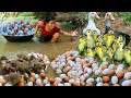 Women Help baby Duck and egg At river - Fried egg for dog Eating delicious HD