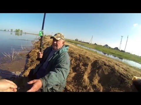 ловить карася волгоград ловить карася волгоград