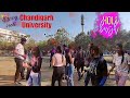 Holi Celebration At Chandigarh University  | Chandigarh Wala