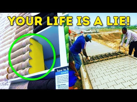 14 PROOFS OUR LIFE IS A LIE