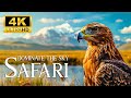 Dominate of the sky in Wild Animals   - Beautiful Animals Movie with Smooth Relax Piano Music