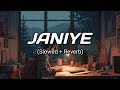 Janiye (Slowed + Reverb) । Vishal Mishra । [full song]