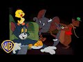 Tom & Jerry em Português | Brasil | Todos os Animais de Tom & Jerry! 🐣🐭 | @WBKidsBrasil​