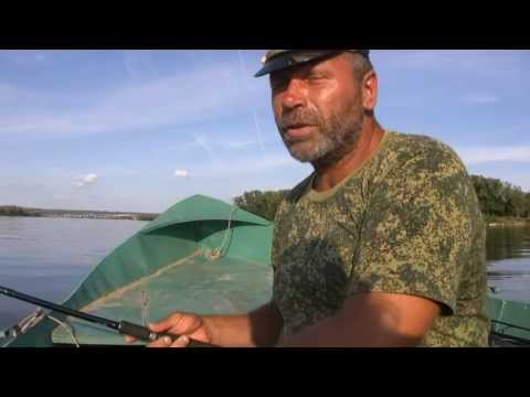 когда клюет селедка на волге когда клюет селедка на волге