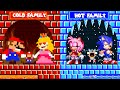 Family Challenge: Mario vs Sonic Family HOT vs COLD Challenge! | King Bowser Animation