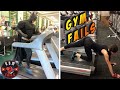 Workout Gym Fails Compilation #122 💪🏼🏋️ Fitness & Gym Fails Moments - Summer 2023