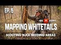 Part 5 - Mapping Public Land Whitetails | Scouting Buck Bedding Areas