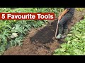 My 5 Favourite Tools in the Garden