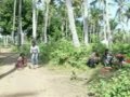 COMEDY, KITALE NA WAKULIMA