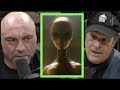 Joe Rogan | The Crystal Skulls and Alien Abductions w/Dan Aykroyd