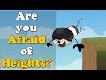 Are you Afraid of Heights? + more videos | Vertigo | #aumsum #kids #science #education #children