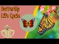 The Butterfly Life Cycle | Educational Videos For Kids