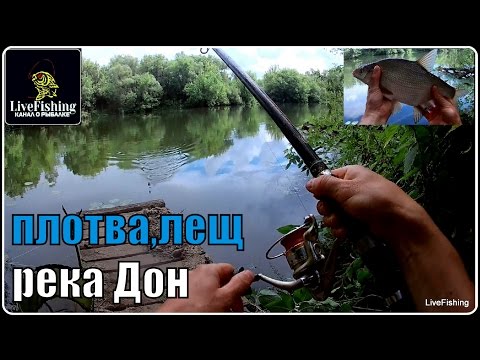 ловля на фидер в марте на реке дон ловля на фидер в марте на реке дон