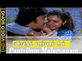 பனிவிழும் மலர்வனம் | Panivilum Malarvanam song | Ninaivellam Nithya | Karthik, Gigi | Vairamuthu |HD