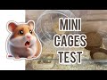 Mini Cages Test