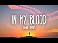Shawn Mendes - In My Blood (Lyrics)