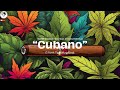 "Cubano" West Coast Oldschool Hip Hop Instrumental | Gfunk Type Piano Beat