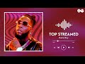 Burna Boy // Top Streamed Songs on Spotify 2024 (playlist)