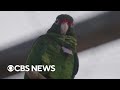 Environmental advocates work to save Puerto Rican parrot from extinction