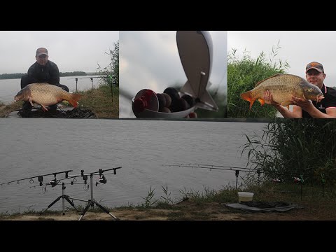 видео ловля карпа на бойлы 2016 год видео ловля карпа на бойлы 2016 год