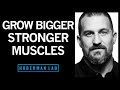 Science of Muscle Growth, Increasing Strength & Muscular Recovery